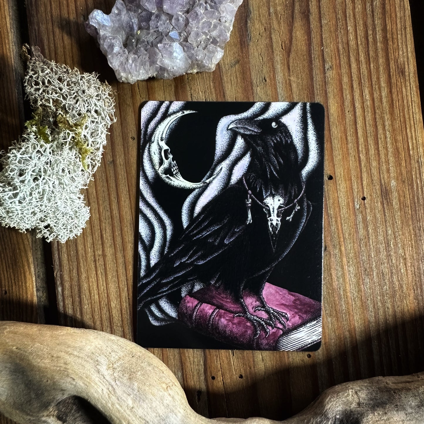 Raven magnet
