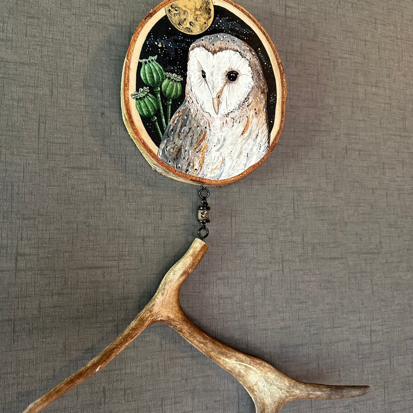 THE BARN OWL AND THE POPPY, mystery, mediumship, oneirism