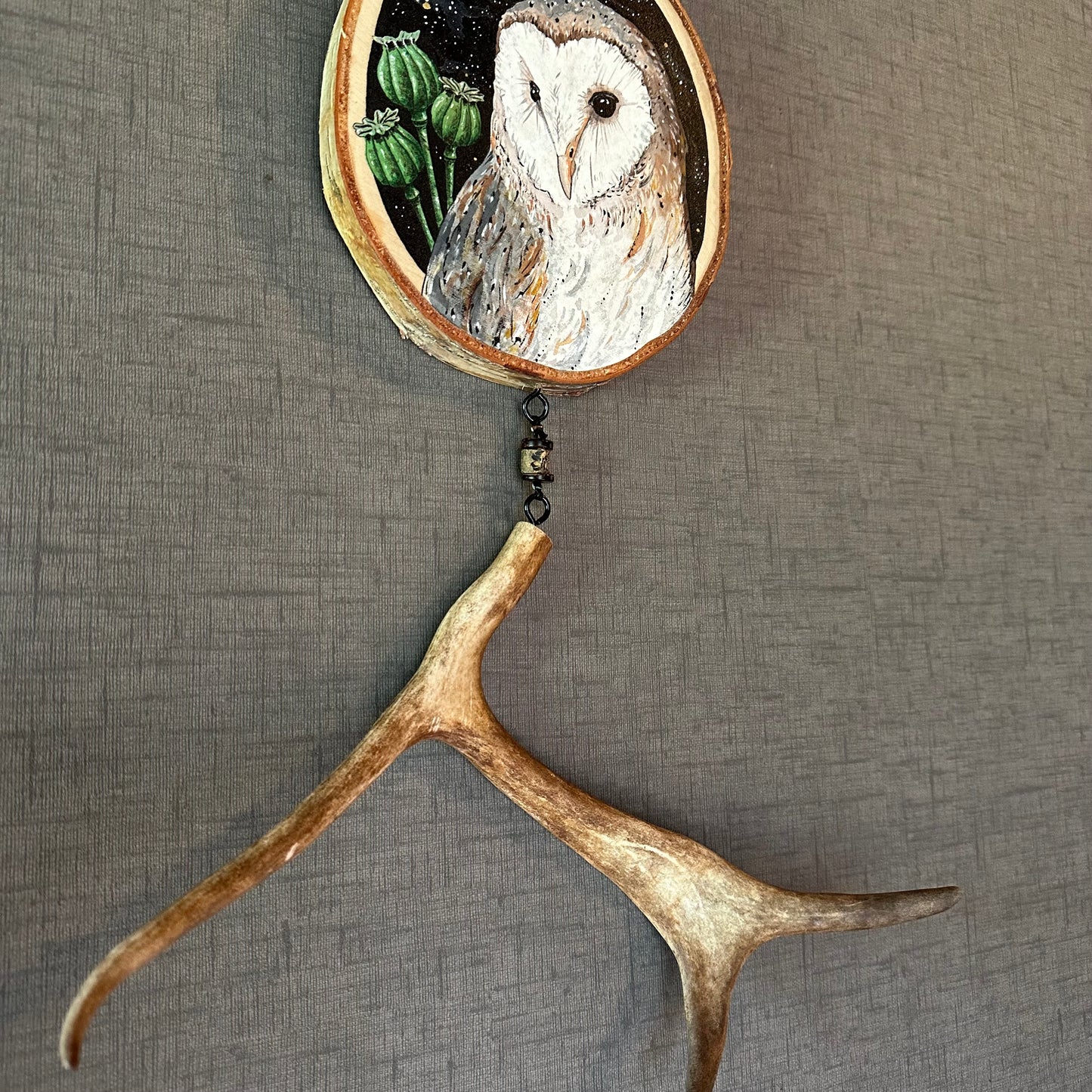 THE BARN OWL AND THE POPPY, mystery, mediumship, oneirism