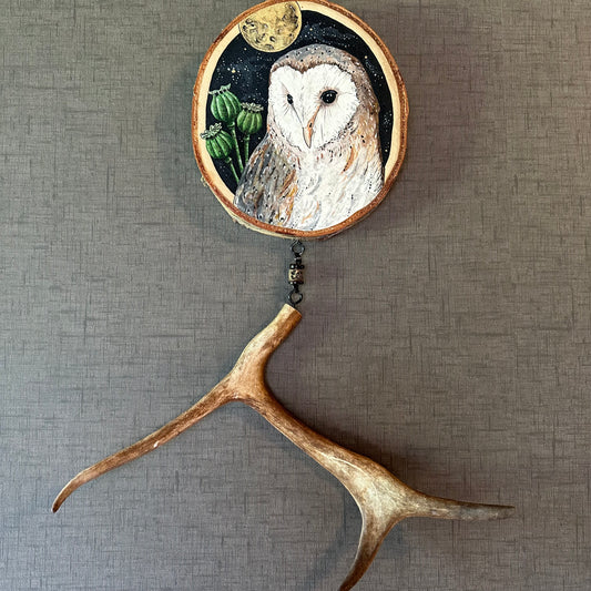 THE BARN OWL AND THE POPPY, mystery, mediumship, oneirism