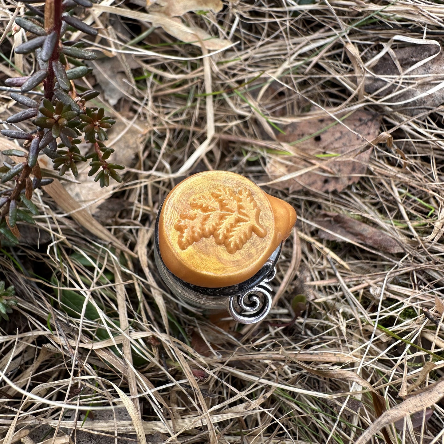 "Forest" Spell jar