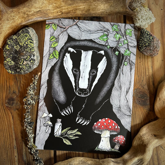 Illustration Blaireau