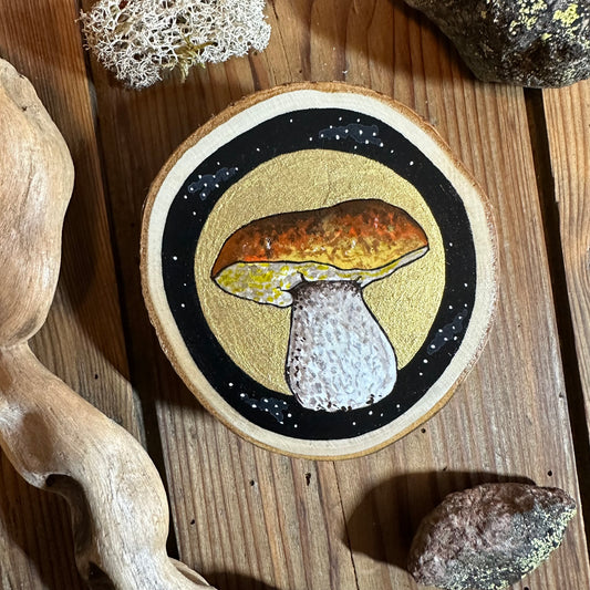 LE CEPE DE BORDEAUX, individuality, wild, harmony