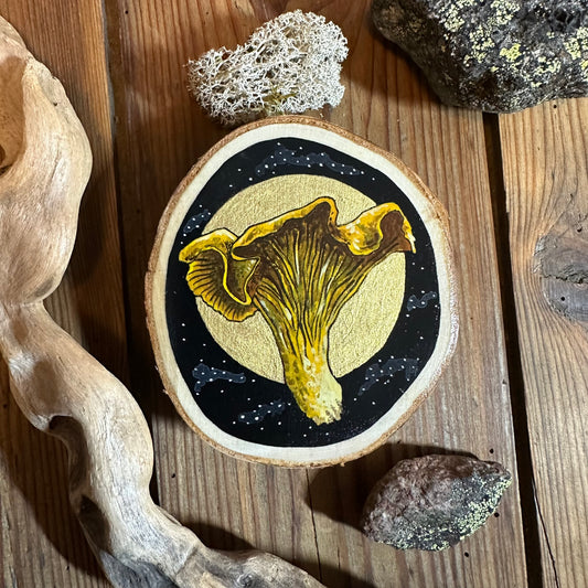 THE YELLOW CHANTERELLE, symbiosis, belonging, health