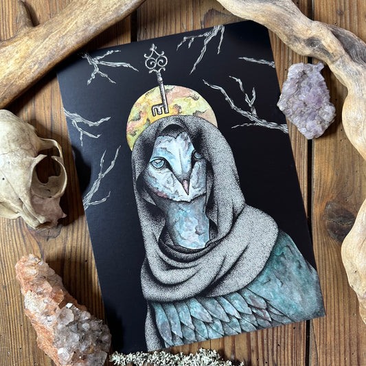 Illustration Chouette effraie