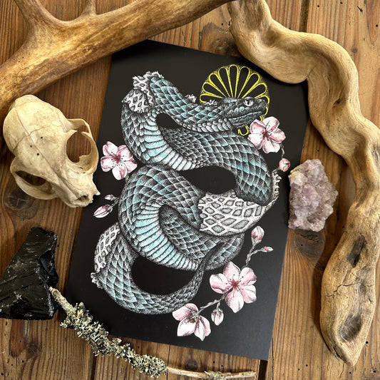 Illustration Couleuvre