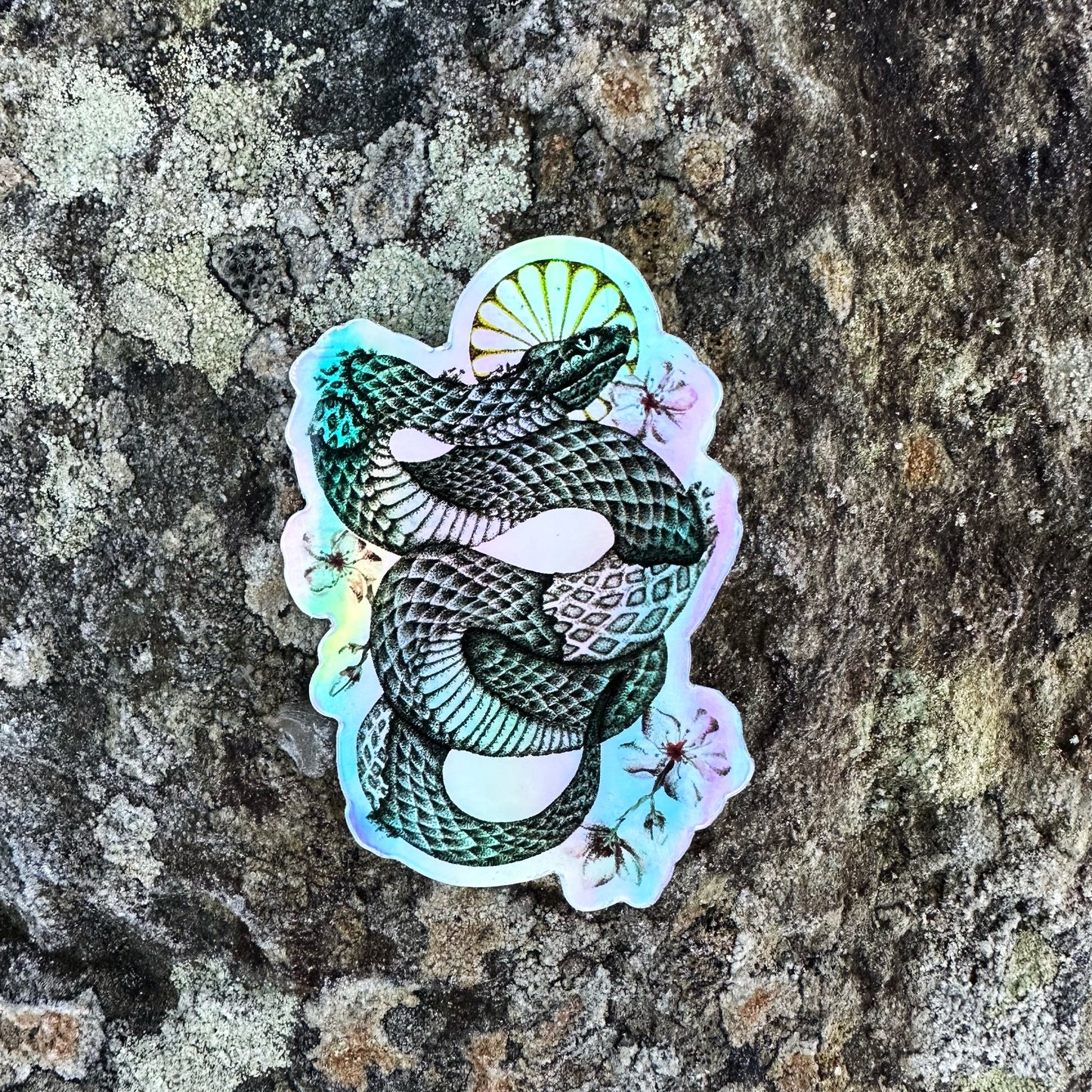 holographic stickers