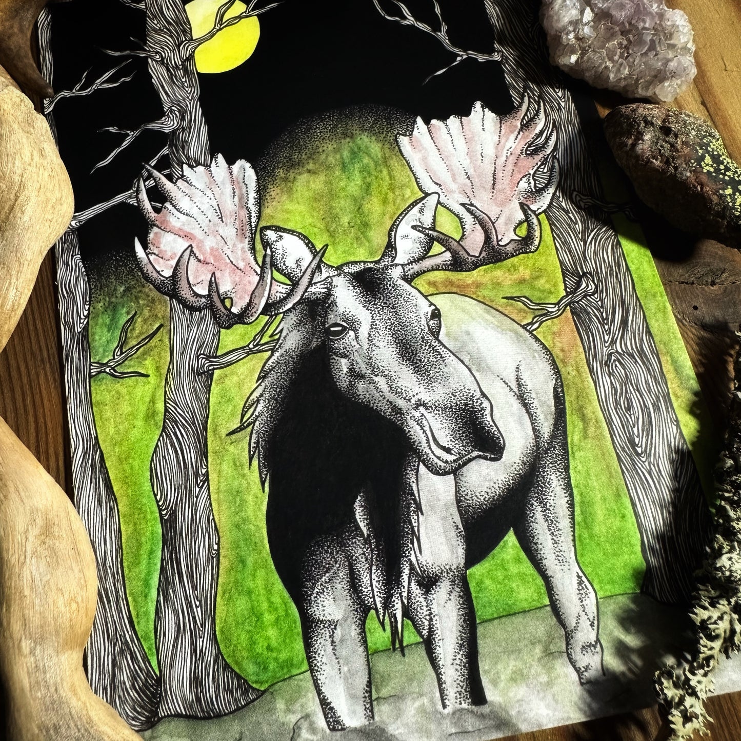Moose
