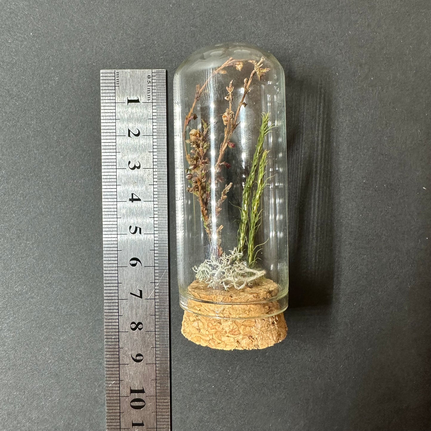 Mini Scandinavian forest (several sizes available)