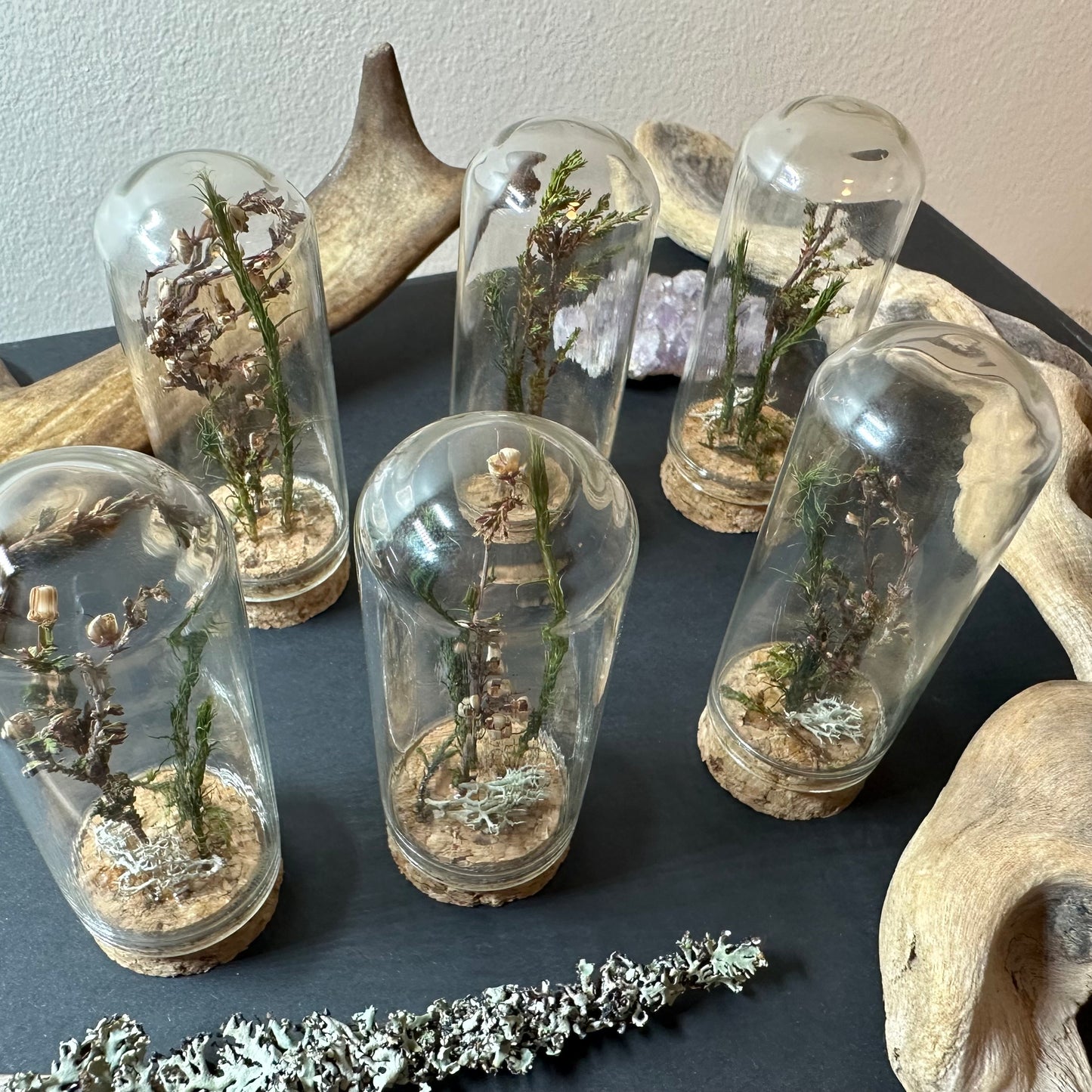 Mini Scandinavian forest (several sizes available)