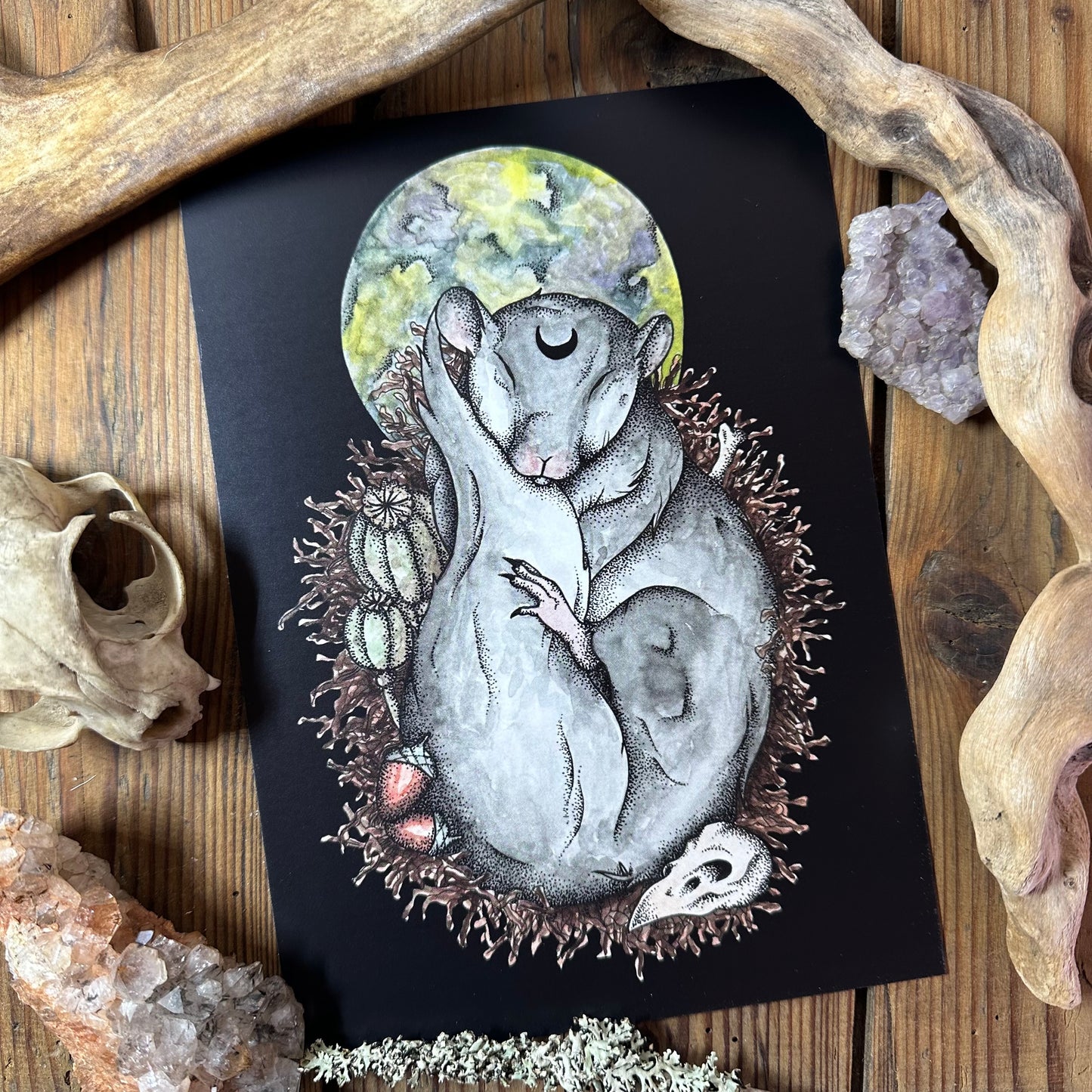 Dormouse