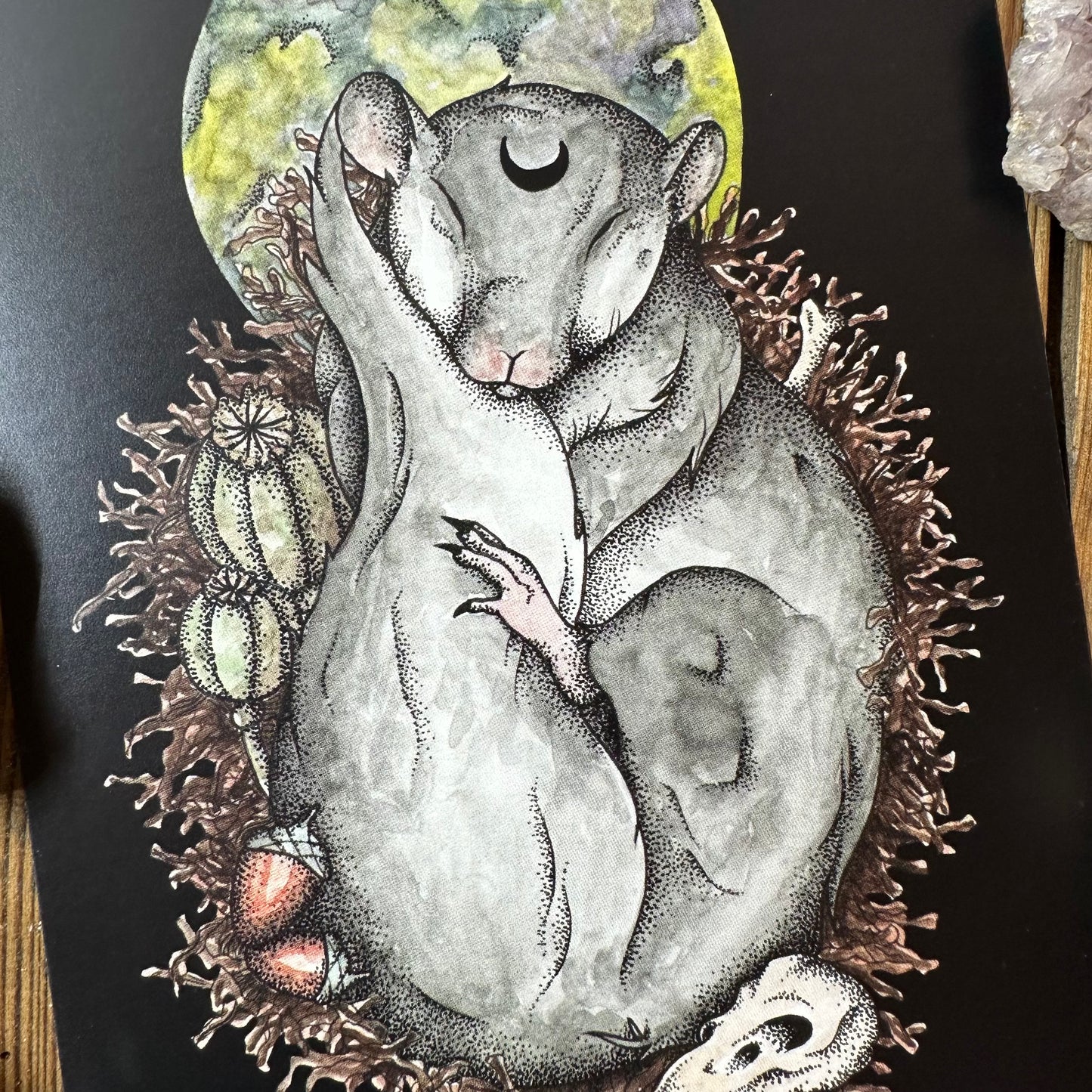 Dormouse