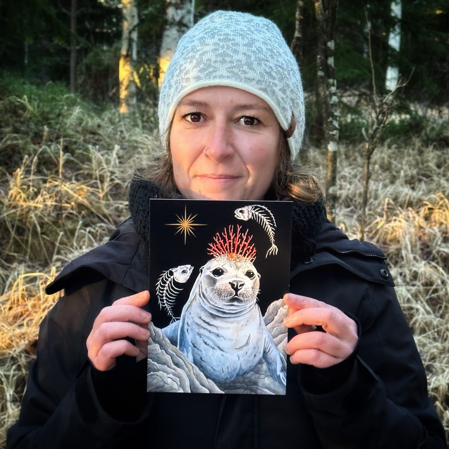 Illustration Phoque gris