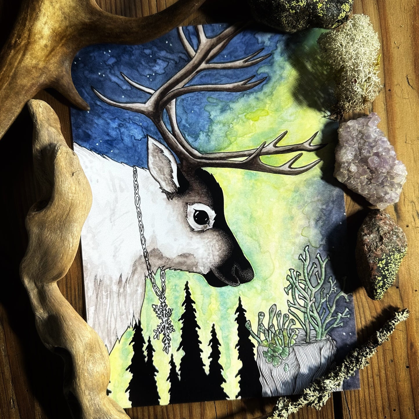 Reindeer