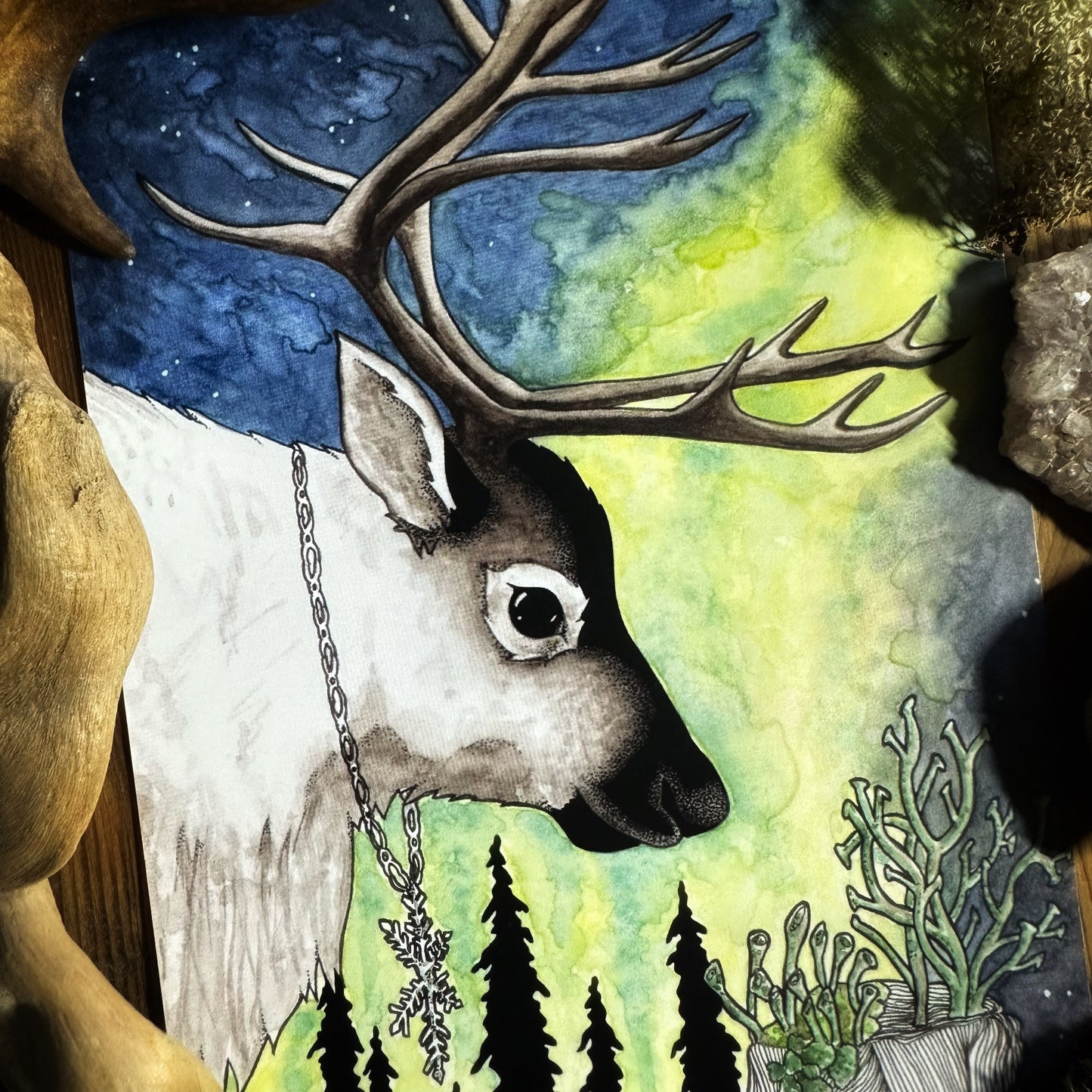 Reindeer