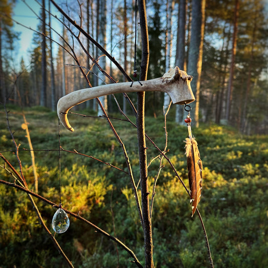 Sun catcher / talisman "courbé"