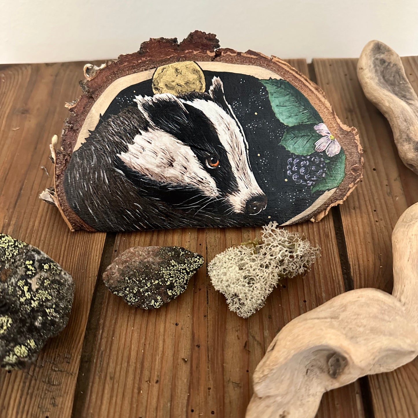 THE BADGER AND THE BLACKBERRY, home, territory, protection