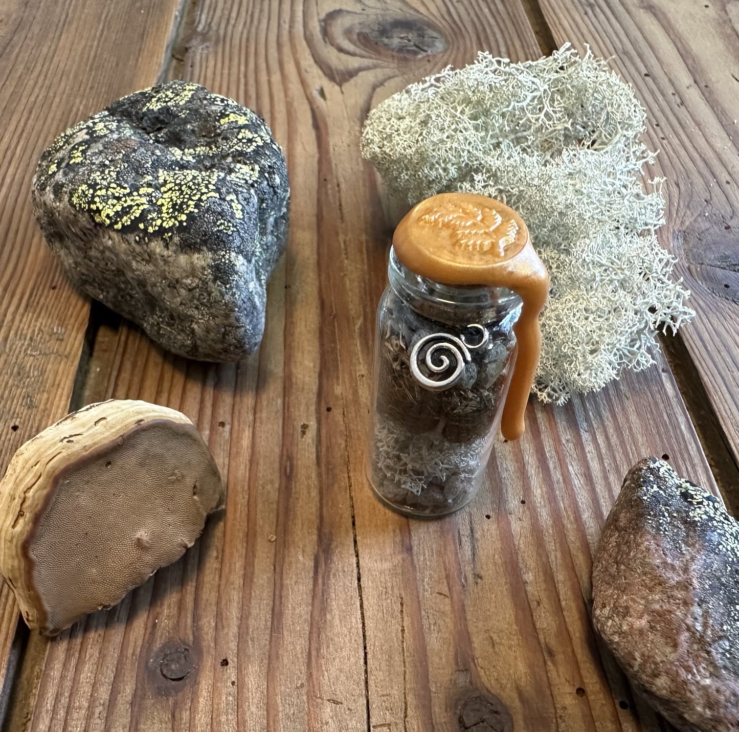 Pack The Wild Side Oracle