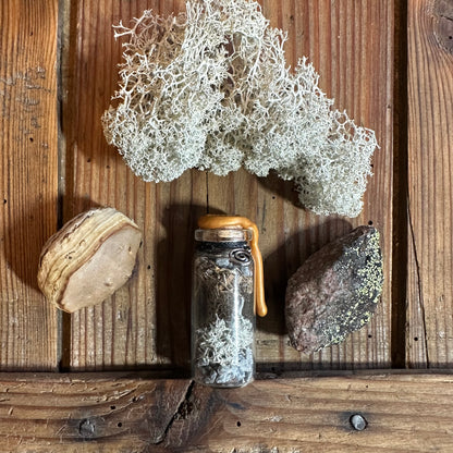 Pack The Wild Side Oracle