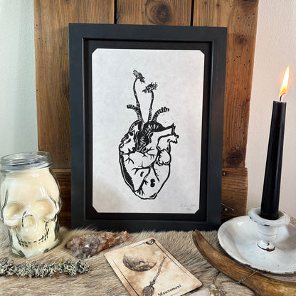 Anatomical heart