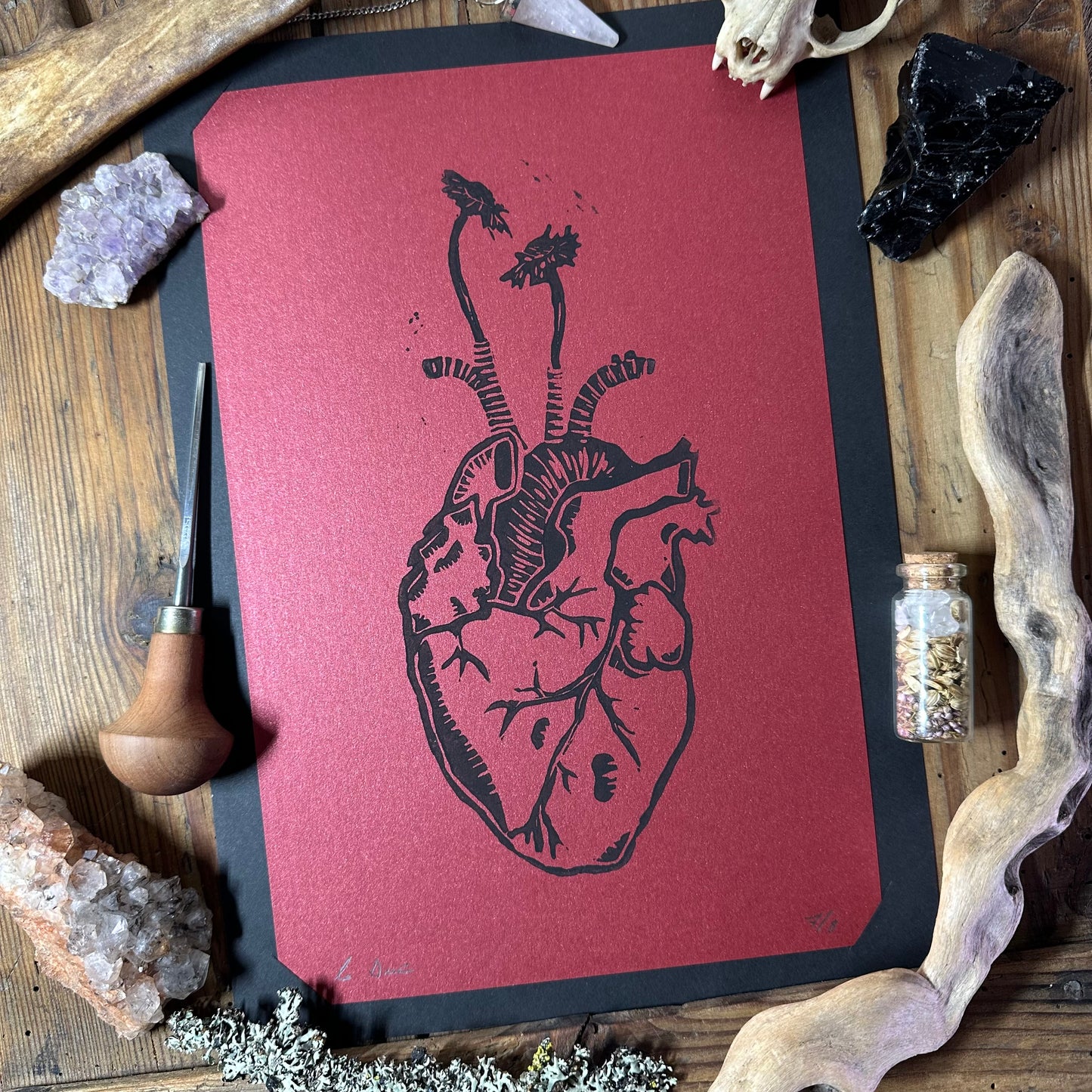 Anatomical heart