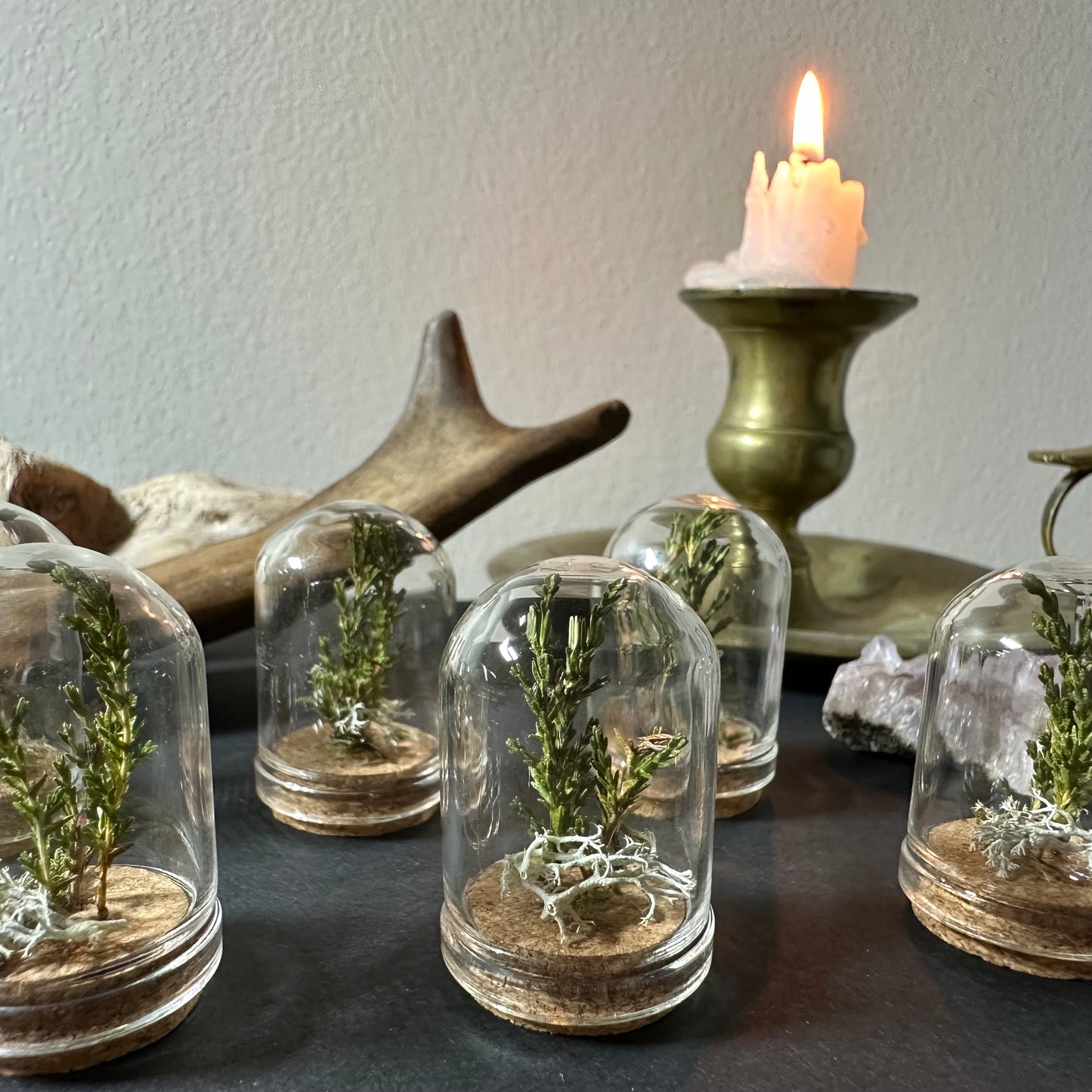 Mini Scandinavian forest (several sizes available)