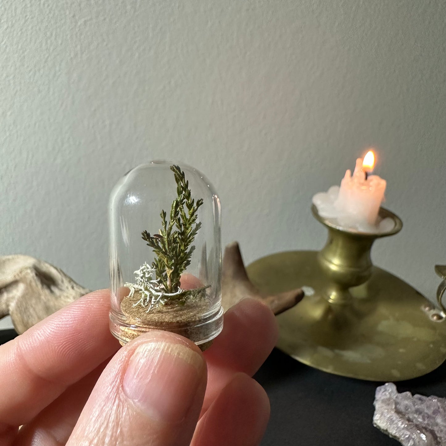 Mini Scandinavian forest (several sizes available)