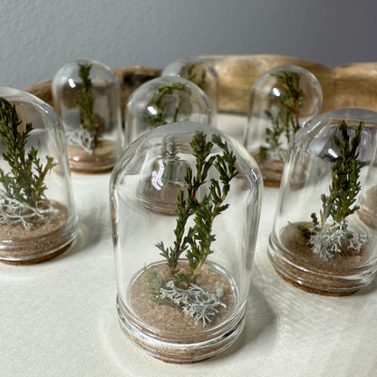 Mini Scandinavian forest (several sizes available)