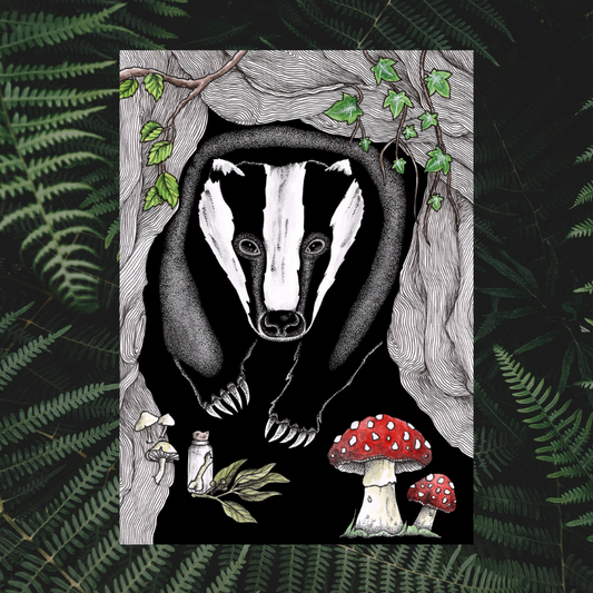 Illustration Blaireau