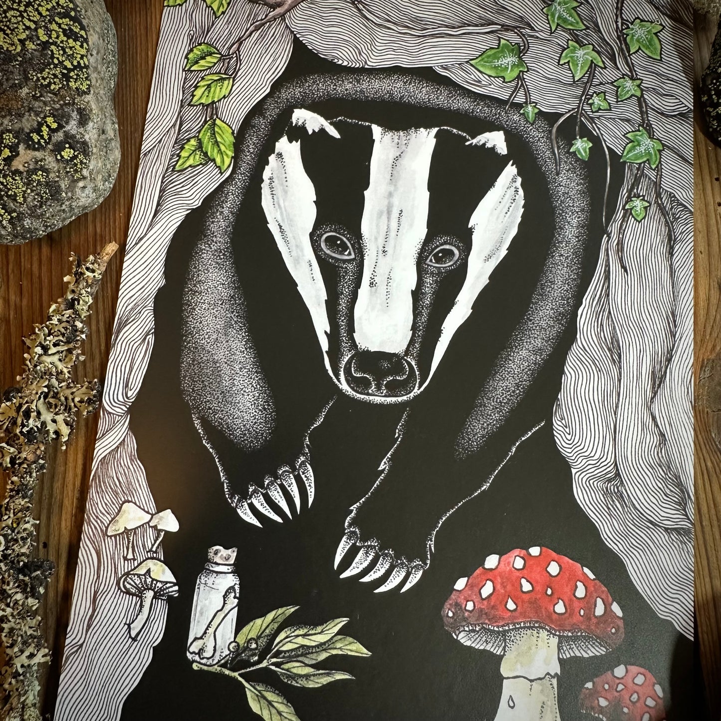 Badger