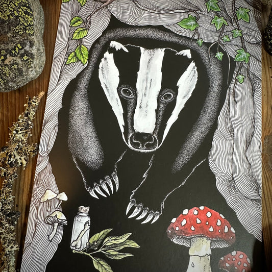 Badger