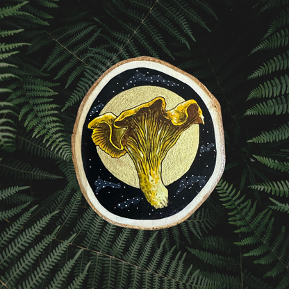 THE YELLOW CHANTERELLE, symbiosis, belonging, health