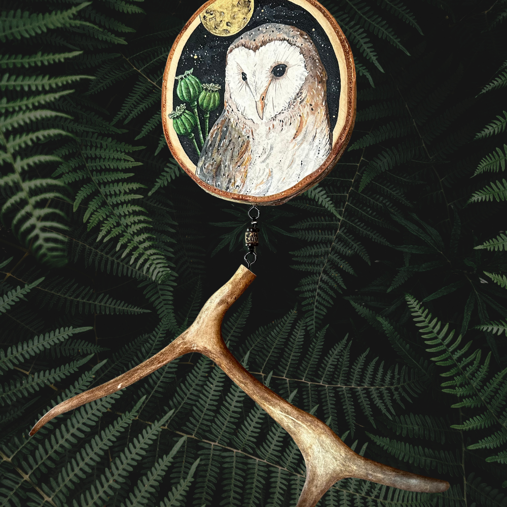 LA CHOUETTE EFFRAIE ET LE PAVOT, mystère, médiumnité, onirisme