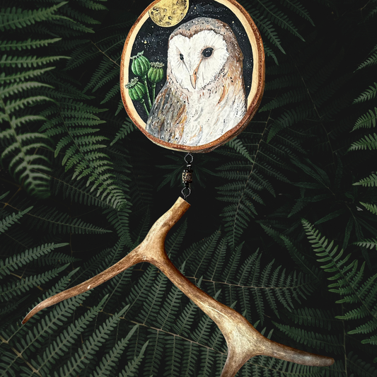 THE BARN OWL AND THE POPPY, mystery, mediumship, oneirism