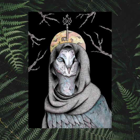 Illustration Chouette effraie