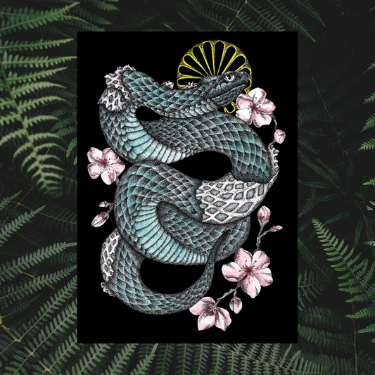 Illustration Couleuvre