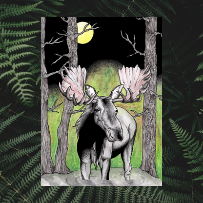 Moose