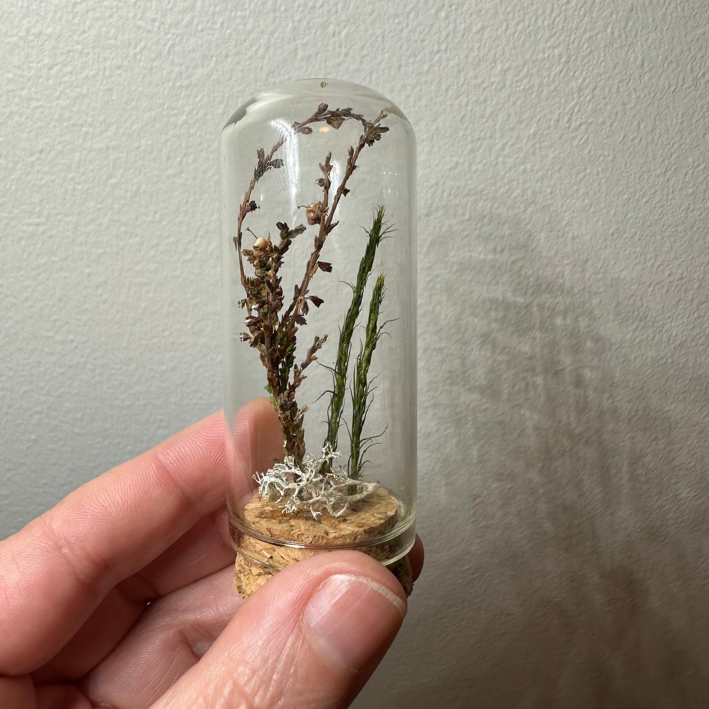 Mini Scandinavian forest (several sizes available)