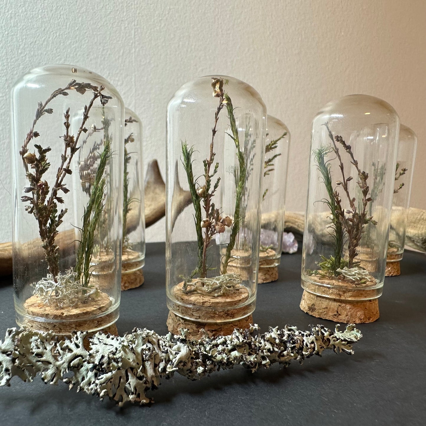 Mini Scandinavian forest (several sizes available)