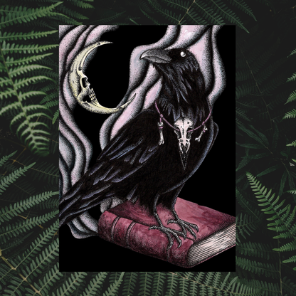 Illustration Grand corbeau