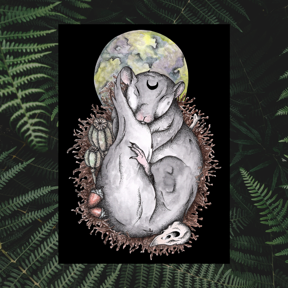 Dormouse