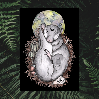Dormouse