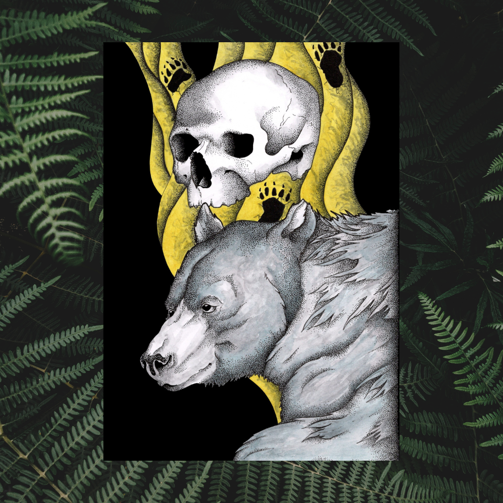 Illustration Ours brun