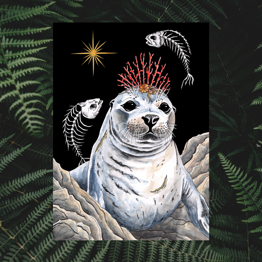 Illustration Phoque gris