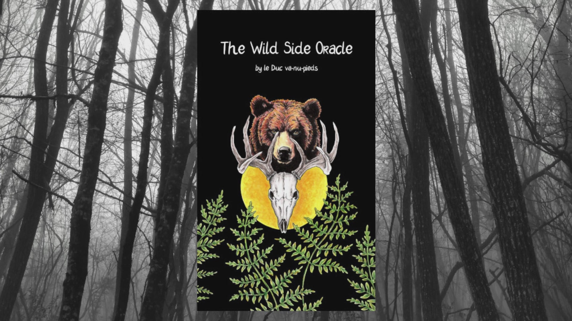 Charger la vidéo : 